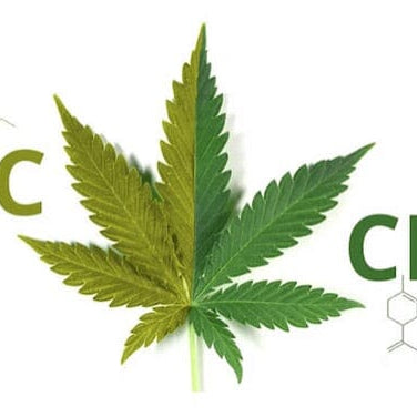 Clearing the Air: Does CBD Contain THC?