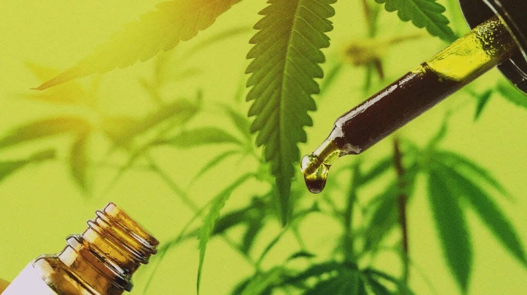 Exploring the Benefits of CBD: What Does CBD Help With?
